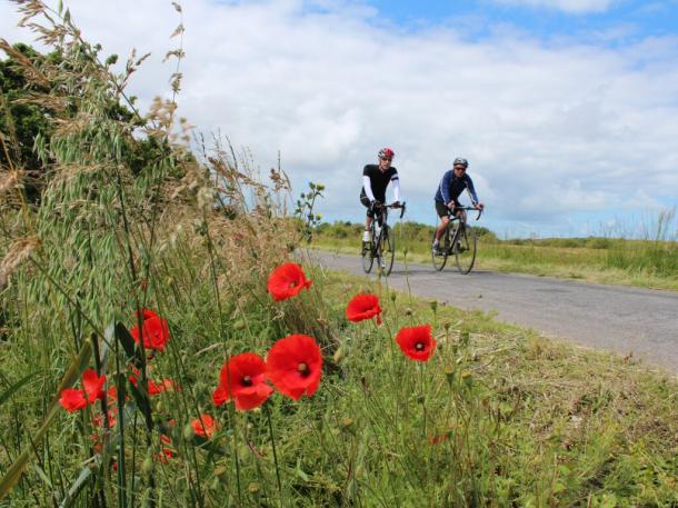 Cycling