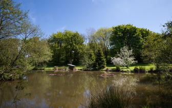 Mill Meadow