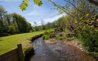 Mill Meadow Stream